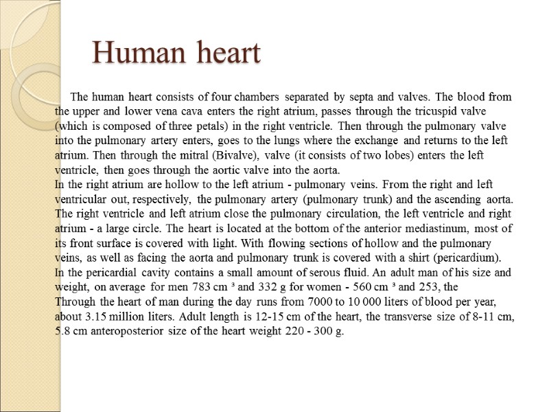 Human heart The human heart consists of four chambers separated by septa and valves.